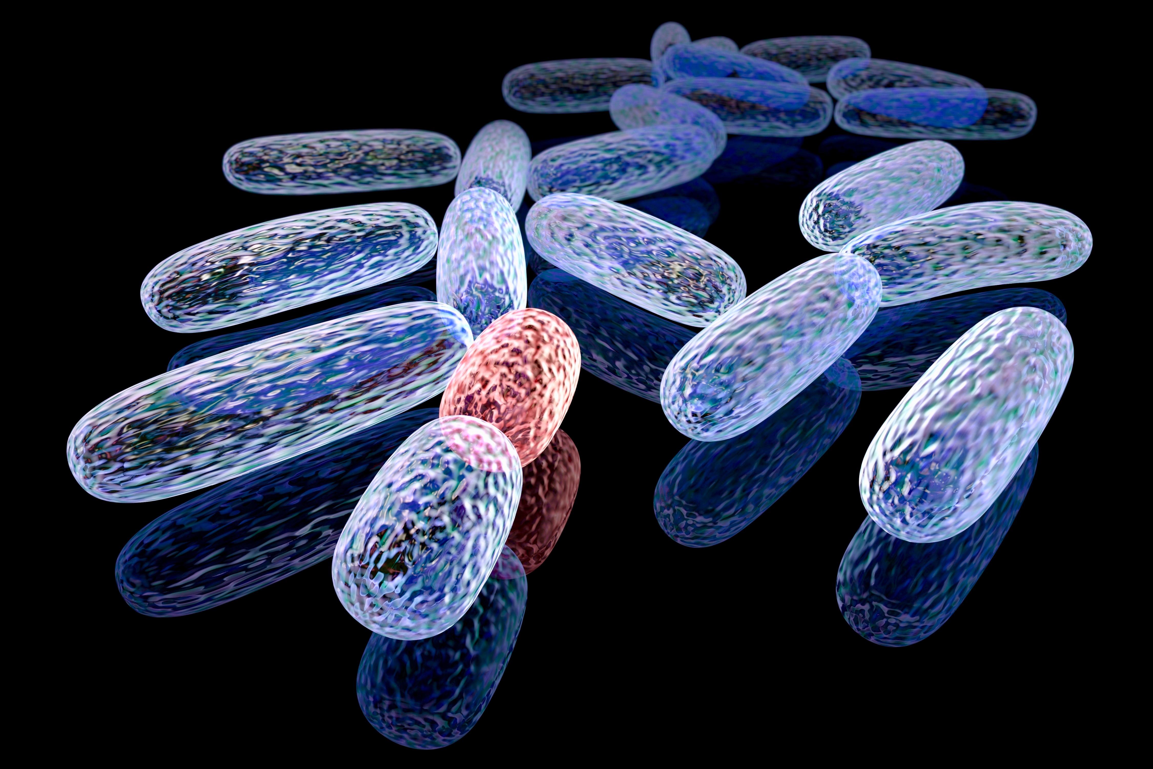 3d rendered concept of transformed bacteria