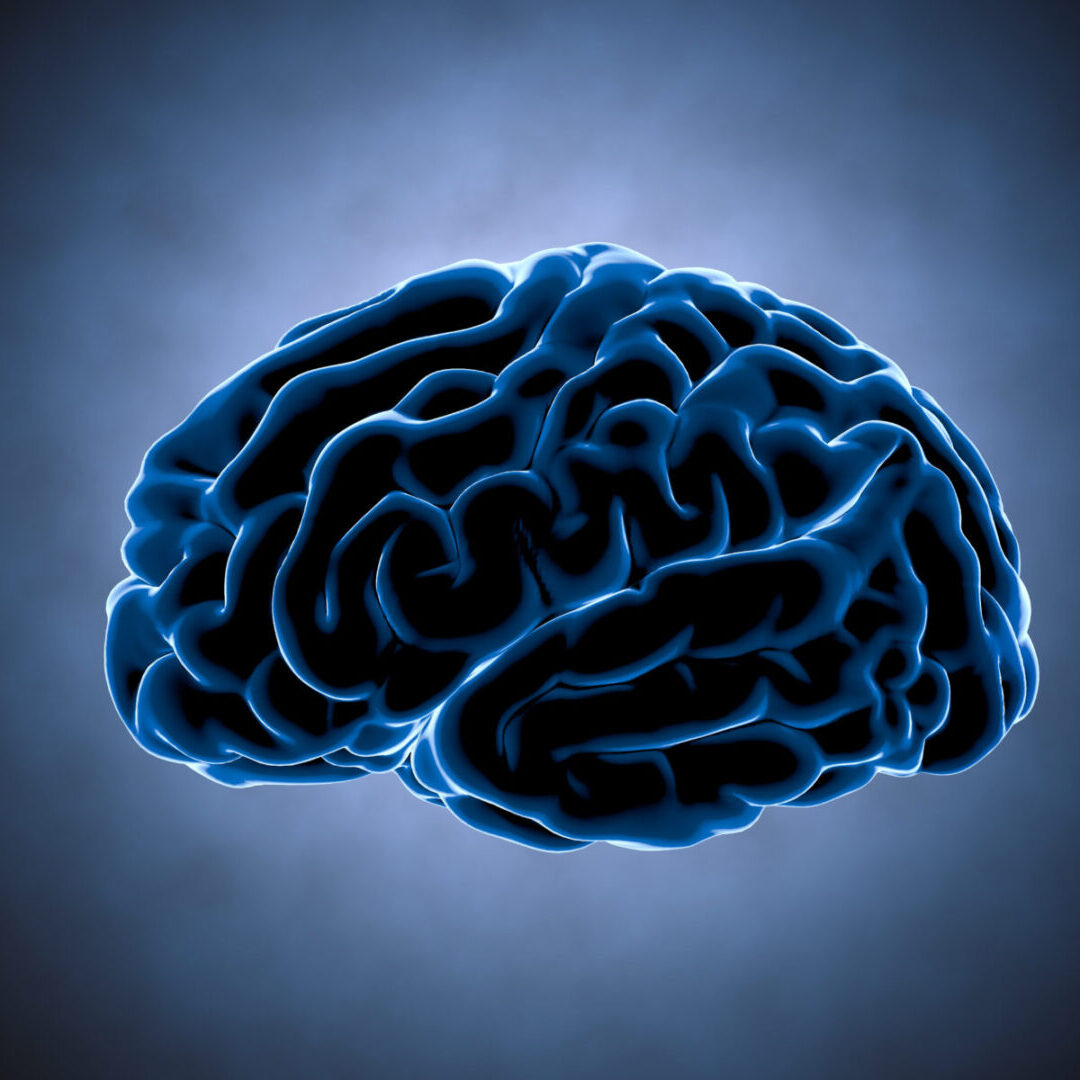 Brain impulses. Neuron system. Human anatomy. transferring pulses and generating information.